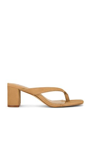 SANDALES DODIE in . Size 6, 6.5, 7, 8, 8.5, 9, 9.5 - Steve Madden - Modalova