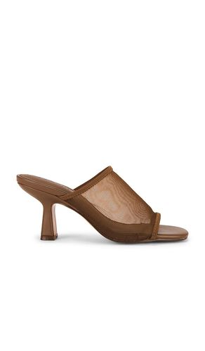 SANDALES GLEAM en . Taille 10. Also en 6, 6.5, 7, 7.5, 8, 8.5, 9, 9.5 - Steve Madden - Modalova