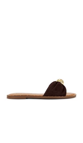 PLAT DIPSY en . Taille 10. Also en 6, 6.5, 7, 7.5, 8, 8.5, 9, 9.5 - Steve Madden - Modalova