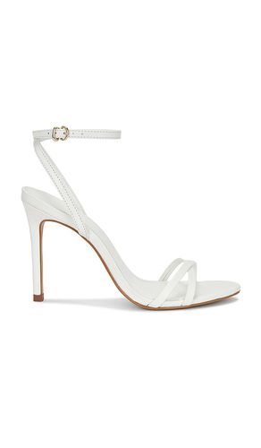 SANDALES JYPSEY en . Taille 10. Also en 6, 6.5, 7, 7.5, 8, 8.5, 9, 9.5 - Steve Madden - Modalova