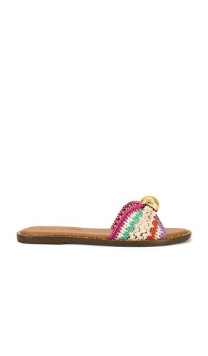 PLAT DIPSY en . Taille 10. Also en 6, 6.5, 7.5, 8, 8.5, 9.5 - Steve Madden - Modalova