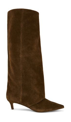 BOTTINES SHAI en . Taille 6. Also en 6.5, 7, 7.5, 8, 8.5, 9, 9.5, 10 - Steve Madden - Modalova
