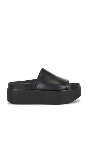 SANDALES ARWEN en . Taille 6.5. Also en 7, 7.5, 8, 8.5, 9, 9.5 - Steve Madden - Modalova