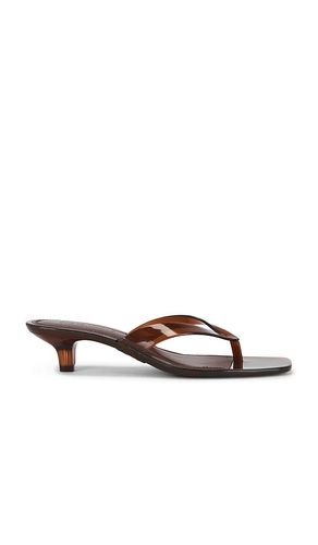 SANDALES TRACIE en . Taille 5. Also en - Steve Madden - Modalova