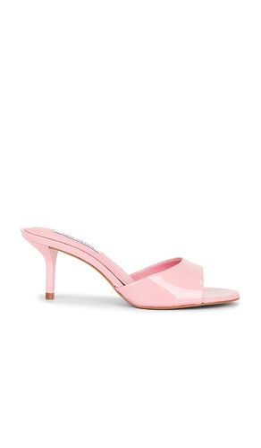 SANDALES KENDRIX en . Taille 6. Also en 6.5, 7.5, 8, 8.5, 9.5 - Steve Madden - Modalova