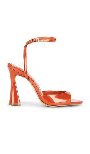 SANDALES BEKI en . Taille 6. Also en 6.5, 7, 7.5, 8, 8.5, 9, 9.5, 10 - Steve Madden - Modalova