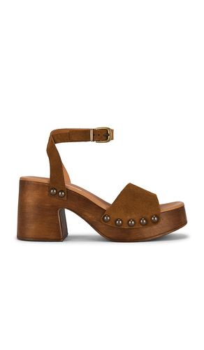 SANDALES KARSIN en . Taille 6. Also en 7, 8, 9, 10 - Steve Madden - Modalova