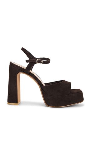 SANDALES LIANDRA en . Taille 6. Also en 6.5, 7, 7.5, 8, 8.5, 9, 9.5, 10 - Steve Madden - Modalova