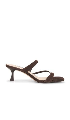 SANDALES AJAY en . Taille 10. Also en 6, 6.5, 7, 7.5, 8, 8.5, 9 - Steve Madden - Modalova