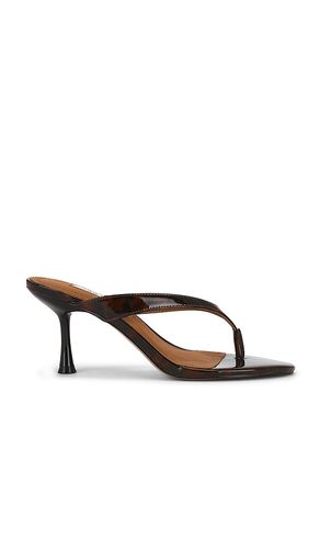 SANDALES FAROH en . Taille 9.5. Also en - Steve Madden - Modalova