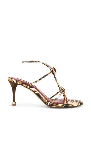 SANDALES AVEC LANIÈRES RAMOS en . Taille 6. Also en 8.5 - Steve Madden - Modalova
