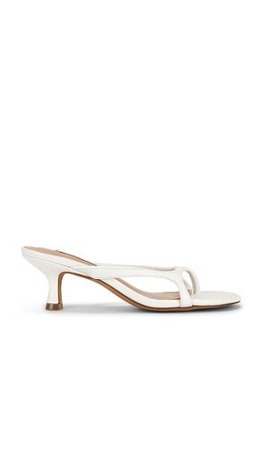 SANDALES BRIENNA en . Taille 6. Also en 6.5, 7, 9.5 - Steve Madden - Modalova