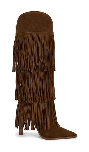 BOTTES KINZEE FRINGE en . Taille 8. Also en 9.5 - Steve Madden - Modalova
