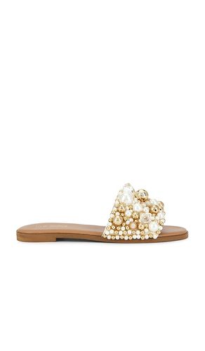 SANDALES KLIO en ,. Taille 6. Also en 6.5, 7, 7.5, 8, 8.5, 9, 9.5 - Steve Madden - Modalova