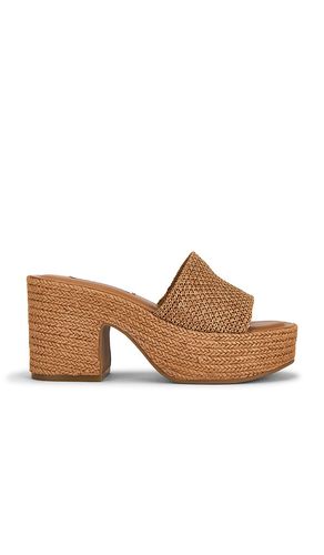 SANDALES COMPENSÉES TRIPPY en . Taille 8. Also en 11 - Steve Madden - Modalova