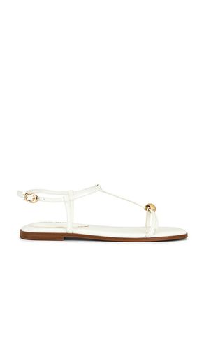 SANDALES RITZY en . Taille 6. Also en 6.5, 7, 7.5, 8, 8.5, 9, 9.5 - Steve Madden - Modalova