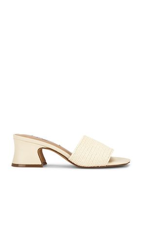 SANDALES FROLIC en . Taille 6. Also en 7, 8, 10 - Steve Madden - Modalova