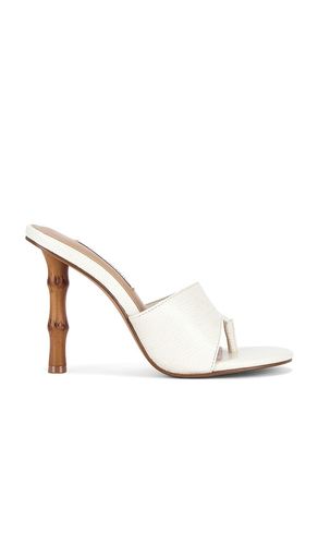 SANDALES À TALONS BRIATA en . Taille 10. Also en 6, 6.5, 7, 7.5, 8, 8.5, 9, 9.5 - Steve Madden - Modalova
