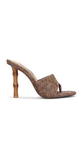 SANDALES À TALONS BRIATA en . Taille 10. Also en 6, 6.5, 7, 7.5, 8, 8.5, 9, 9.5 - Steve Madden - Modalova