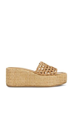 SANDALES BRANDY en . Taille 6. Also en 8, 8.5, 9, 9.5, 10 - Steve Madden - Modalova