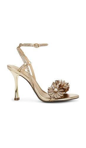 SANDALES MYLEE en . Taille 10. Also en 6, 6.5, 7, 7.5, 8, 8.5, 9, 9.5 - Steve Madden - Modalova