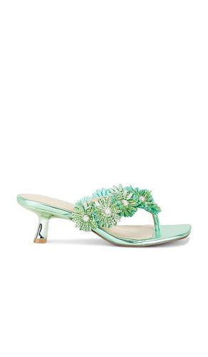 SANDALES LESLI en . Taille 6. Also en 6.5, 7, 7.5, 8, 8.5, 9 - Steve Madden - Modalova