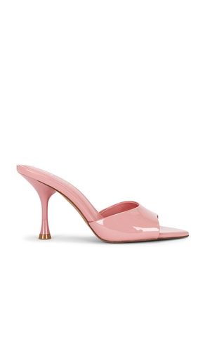 SANDALES ELSBETH en . Taille 6. Also en 6.5, 7.5, 8, 8.5, 9, 9.5, 10 - Steve Madden - Modalova