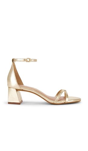 SANDALES RAE en . Taille 6. Also en 8, 8.5, 9, 9.5, 10, 11 - Steve Madden - Modalova