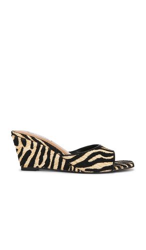 SANDALES SELESTE en ,. Taille 5.5. Also en 6, 7.5 - Steve Madden - Modalova