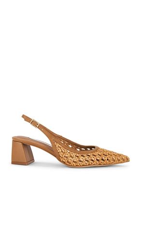 ESCARPIN ROBYN en . Taille 6. Also en 6.5 - Steve Madden - Modalova