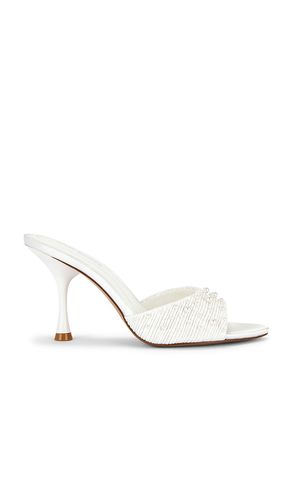 SANDALES SANTI en . Taille 8.5. Also en 9, 9.5, 10 - Steve Madden - Modalova