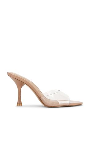 SANDALES SANTI en . Taille 7. Also en 10 - Steve Madden - Modalova