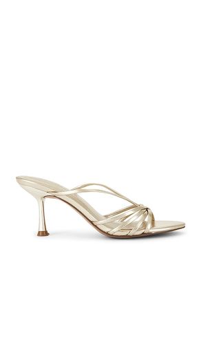 SANDALES EDNA en . Taille 6. Also en - Steve Madden - Modalova