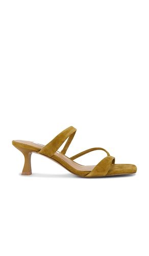 SANDALES AJAY en . Taille 6.5. Also en 7, 7.5, 8, 8.5, 9, 9.5, 10 - Steve Madden - Modalova