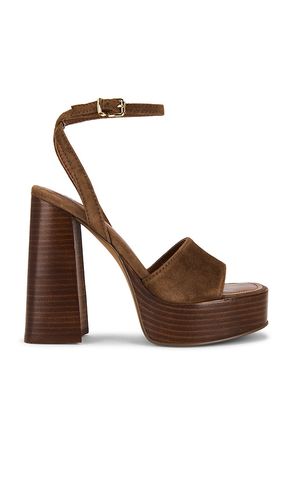 SANDALES FLORIA en . Taille 10. Also en - Steve Madden - Modalova