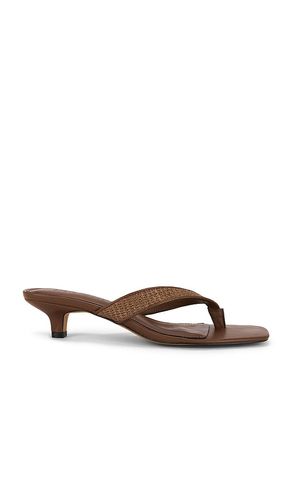 SANDALES TRACIE en . Taille 6. Also en 8.5 - Steve Madden - Modalova