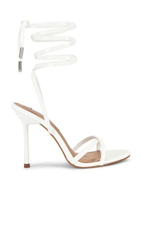 CHEVILLE SANGLÉE NERIE en . Taille 10. Also en 6, 6.5, 7, 7.5, 8, 8.5, 9, 9.5 - Steve Madden - Modalova