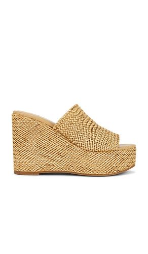 SANDALES CASSI en . Taille 7.5. Also en 8.5, 9.5, 10 - Steve Madden - Modalova