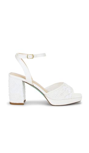 ESCARPIN JUNIE en . Taille 6. Also en 7, 9.5, 10 - Steve Madden - Modalova