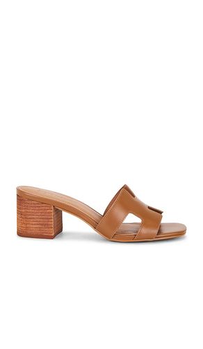 SANDALES HADES en . Taille 10. Also en 9.5 - Steve Madden - Modalova