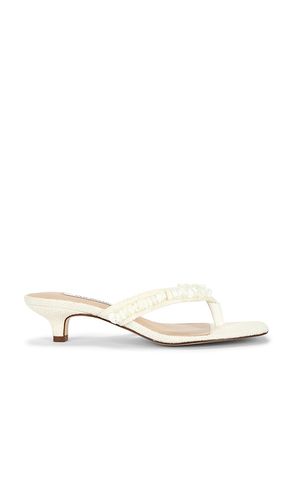 SANDALES À TALONS TRACIE SHELL en . Taille 5.5. Also en 6, 6.5, 7, 7.5, 8, 8.5 - Steve Madden - Modalova