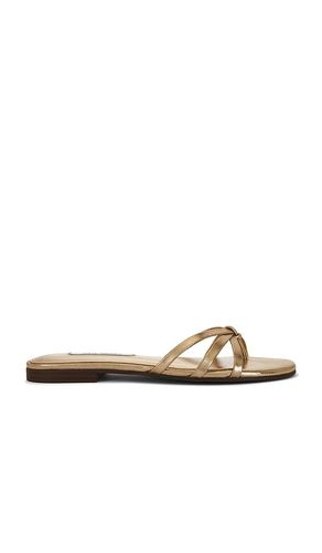 SANDALES CALISSI en . Taille 6. Also en 6.5, 7, 7.5, 8, 8.5, 9.5, 10 - Steve Madden - Modalova