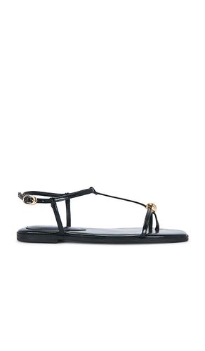 SANDALES RITZY en . Taille 5.5. Also en 6, 6.5, 7, 7.5, 8, 8.5, 9, 9.5, 10, 11 - Steve Madden - Modalova