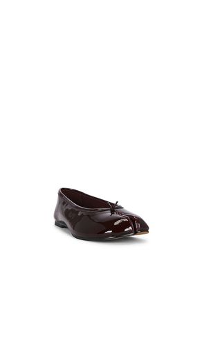 PLAT CALICO en . Taille 6. Also en 6.5, 7, 7.5, 8, 8.5, 9, 9.5, 10 - Steve Madden - Modalova