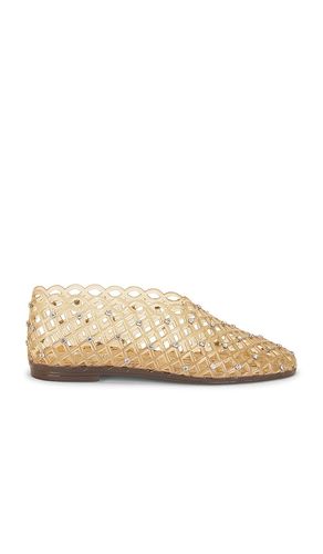 PLAT GROVE en . Taille 6. Also en 7, 8, 9 - Steve Madden - Modalova