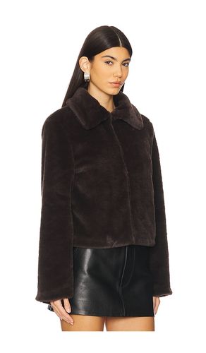 BLOUSON TIANNA en . Taille L. Also en XS - superdown - Modalova