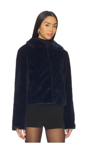 BLOUSON TIANNA en . Taille S. Also en XXS, XS, M - superdown - Modalova