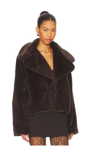 MANTEAU WILLOW en . Taille S. Also en M, L, XL - superdown - Modalova