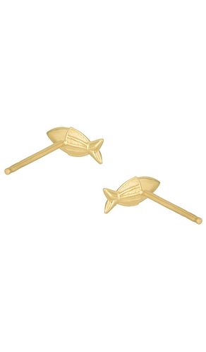BOUCLES D'OREILLES en - STONE AND STRAND - Modalova