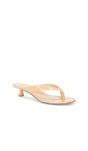 SANDALES RIO SLEEK 35 en . Taille 6. Also en 9, 6.5, 7, 7.5, 8, 8.5 - Stuart Weitzman - Modalova